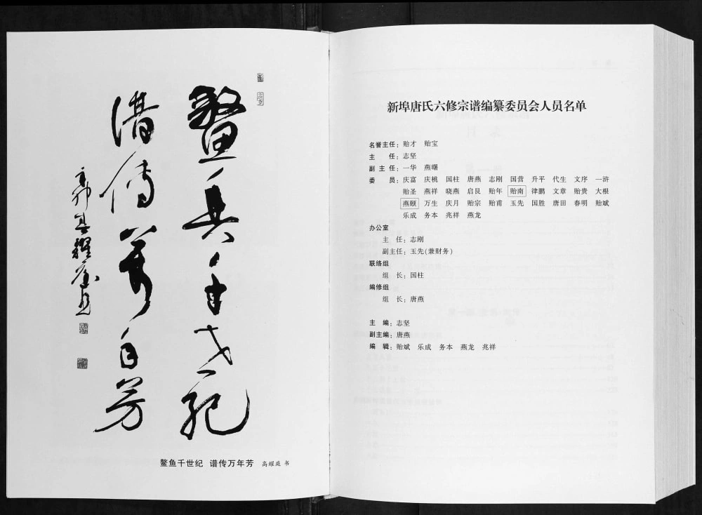 图片[2]-安徽铜陵枞阳唐氏宗谱电子版PDF下载-中华家谱网