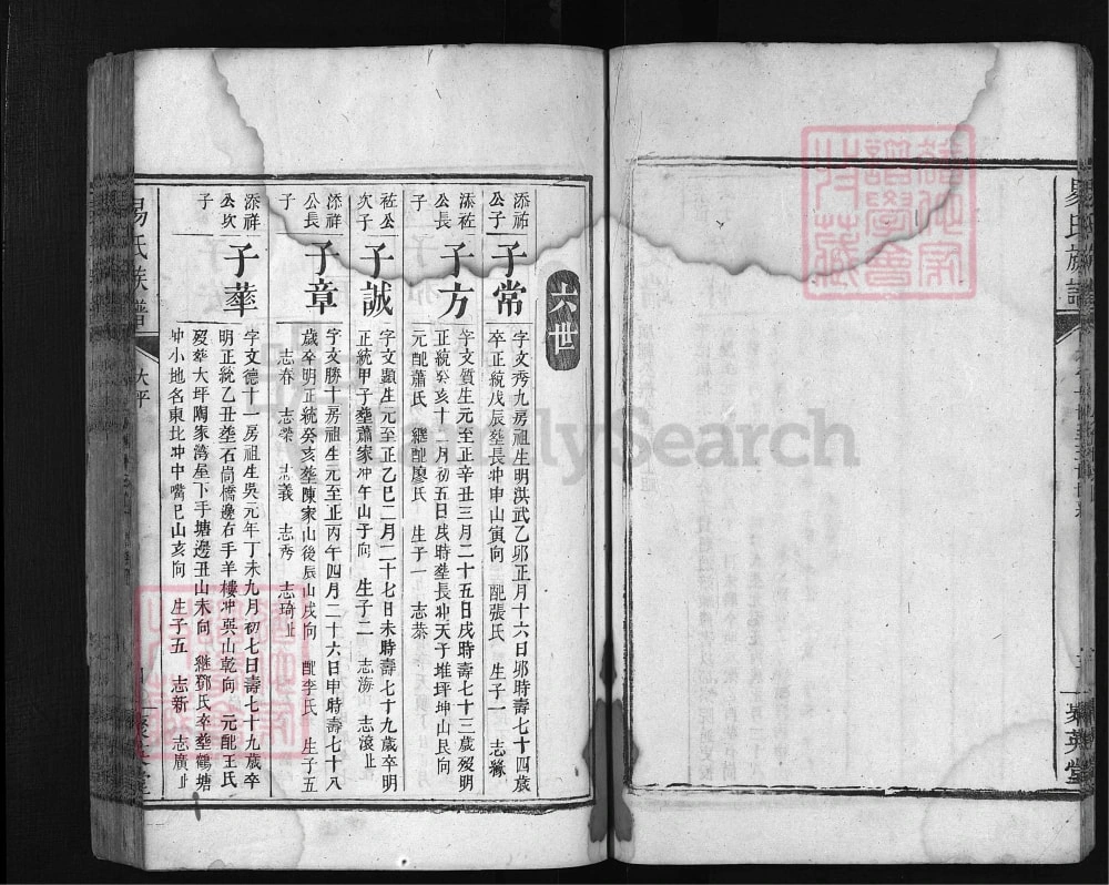 图片[5]-湖南湘乡石门县易氏族谱（聚英堂）电子版PDF下载-中华家谱网