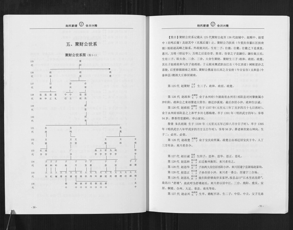 图片[8]-重庆合川区赵氏家谱电子版PDF下载-中华家谱网