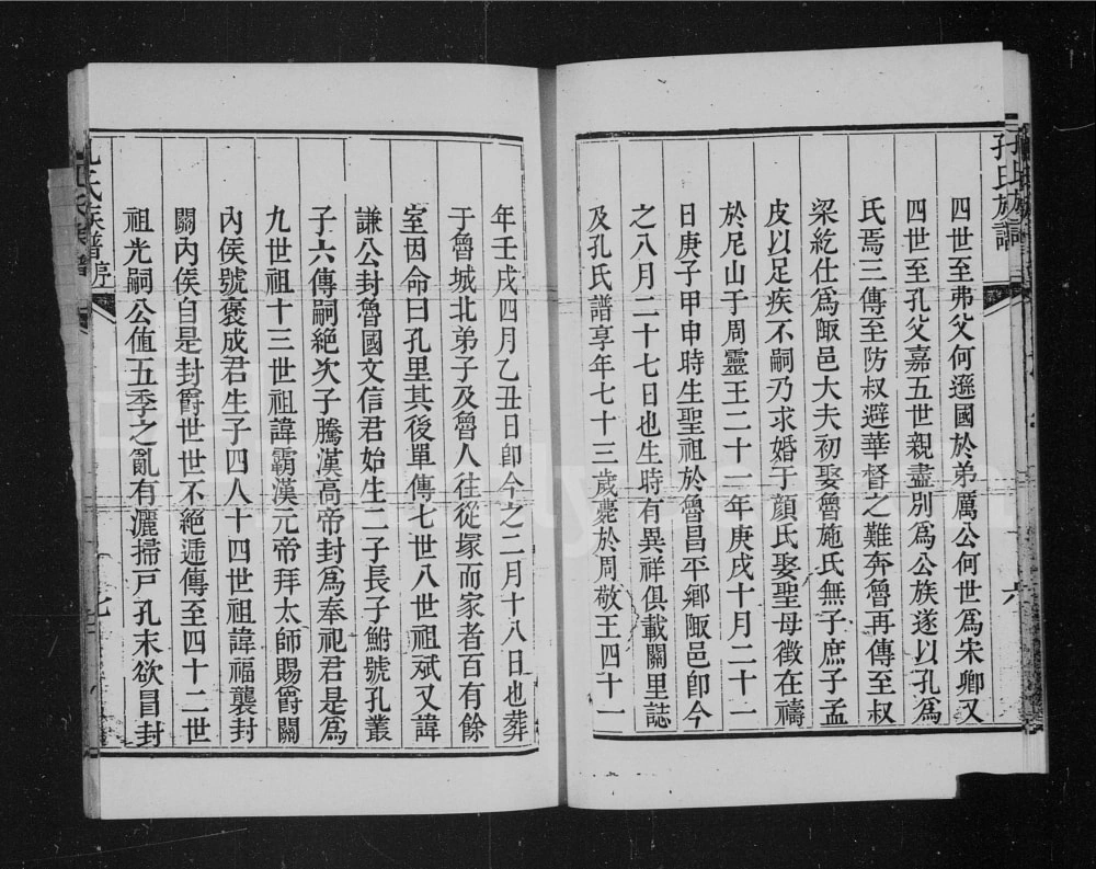 图片[2]-河北高碑店直隶保定府新城县孔氏族谱电子版PDF下载-中华家谱网