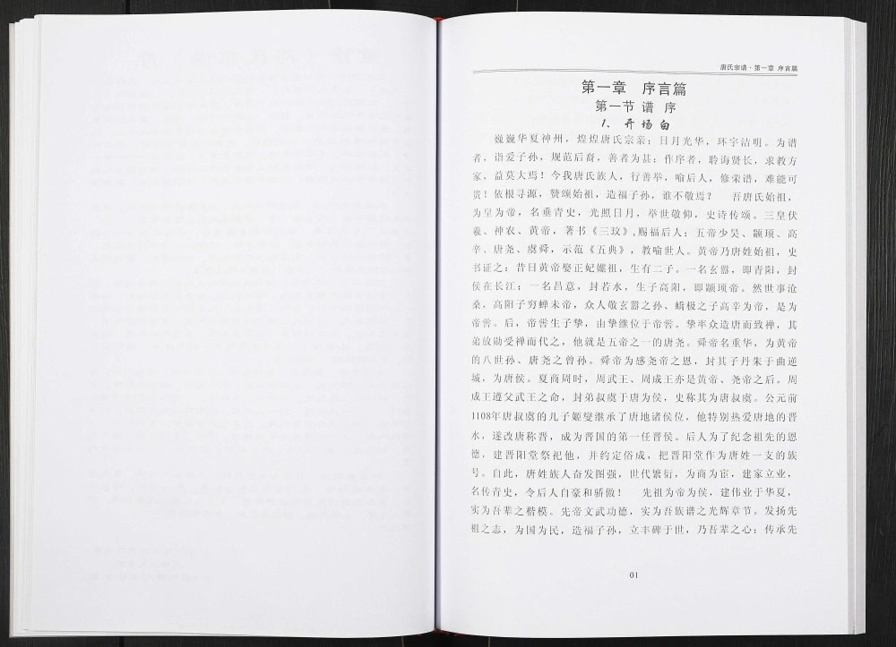 图片[8]-安徽天长唐氏宗谱（五豸堂）电子版PDF下载-中华家谱网