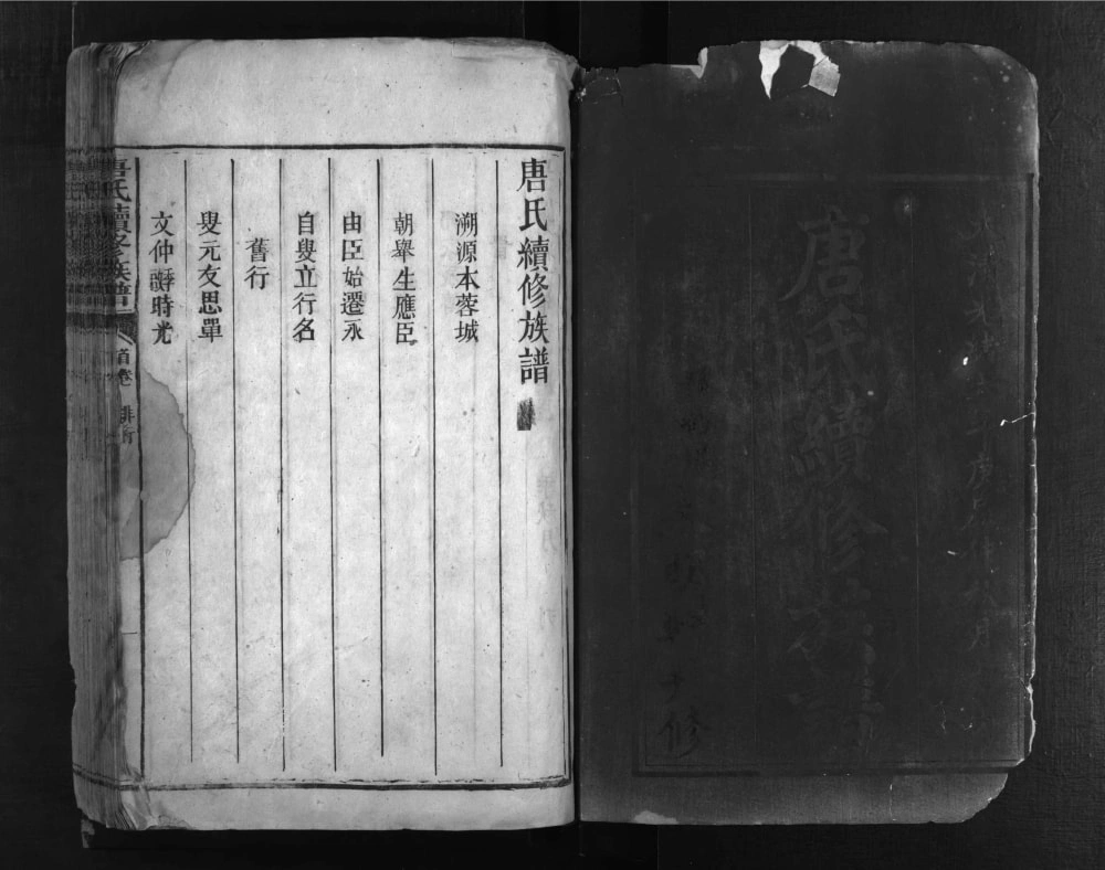 图片[2]-湖南郴州永兴唐氏家乘电子版PDF下载-中华家谱网