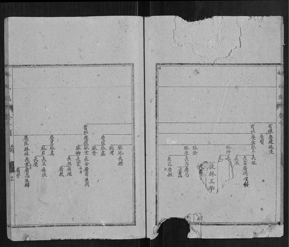 图片[5]-山东济宁汶上姬氏家志电子版PDF下载-中华家谱网