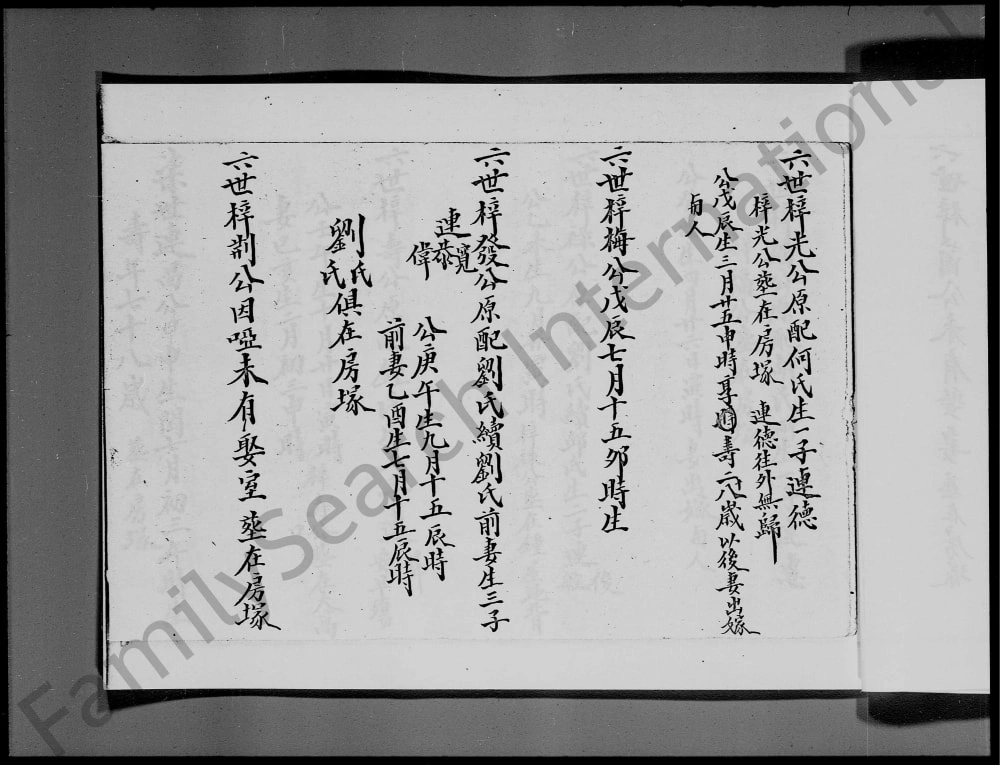 图片[5]-香港新界莲澳村李氏族谱（三福堂）电子版PDF下载-中华家谱网