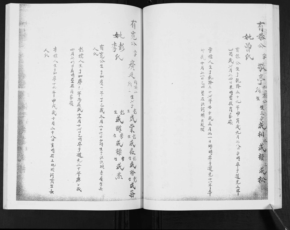 图片[8]-四川内江隆昌张氏族谱川派分支电子版PDF下载-中华家谱网