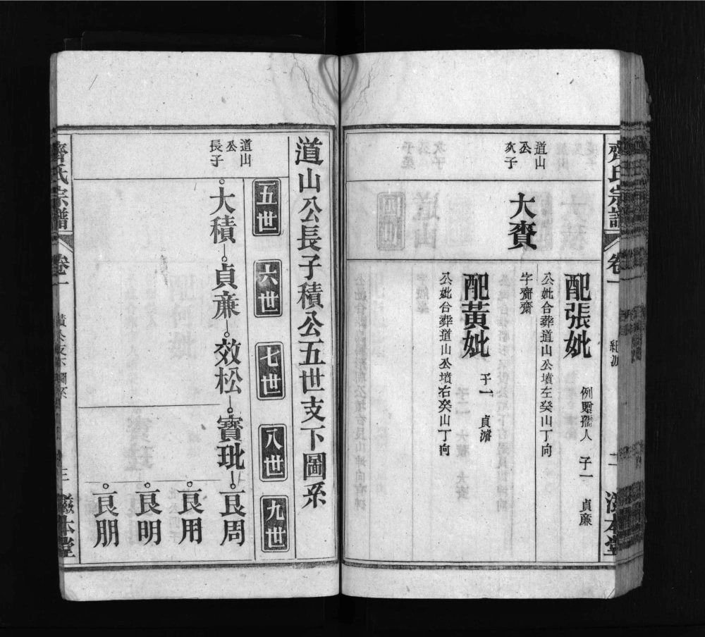 图片[8]-安徽安庆怀宁齐氏宗谱（滋本堂）电子版PDF下载-中华家谱网