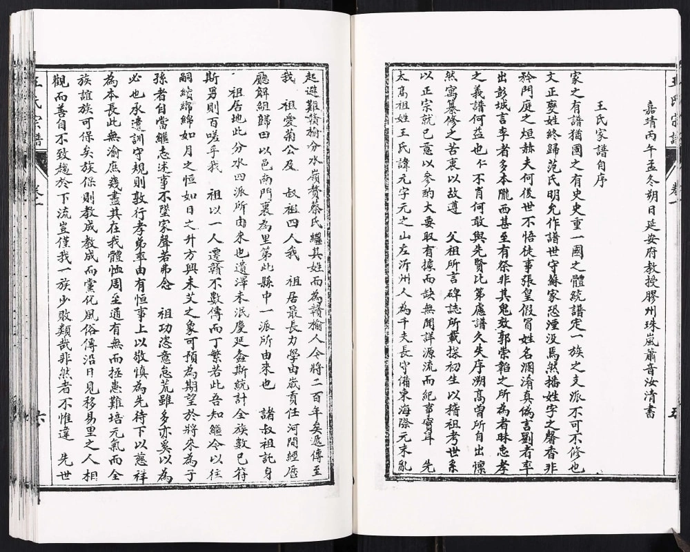 图片[2]-江苏连云港赣榆王氏宗谱电子版PDF下载-中华家谱网