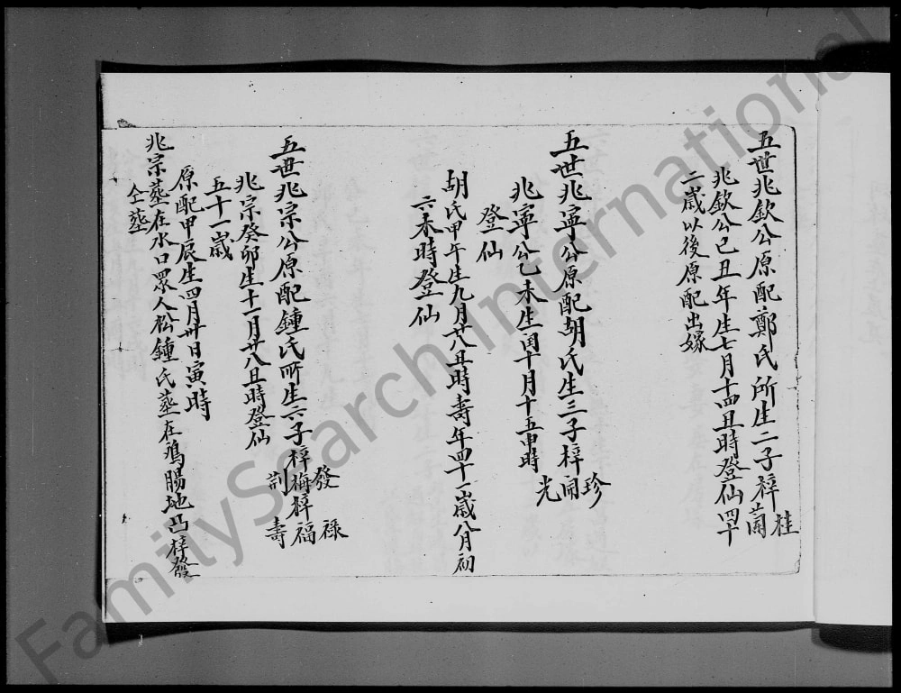 图片[3]-香港新界莲澳村李氏族谱（三福堂）电子版PDF下载-中华家谱网