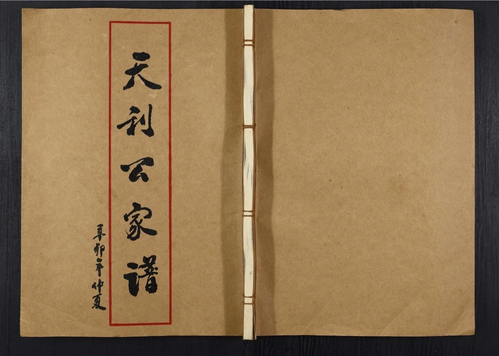 图片[1]-广东揭阳下尾王氏族谱天利公家谱电子版PDF下载-中华家谱网