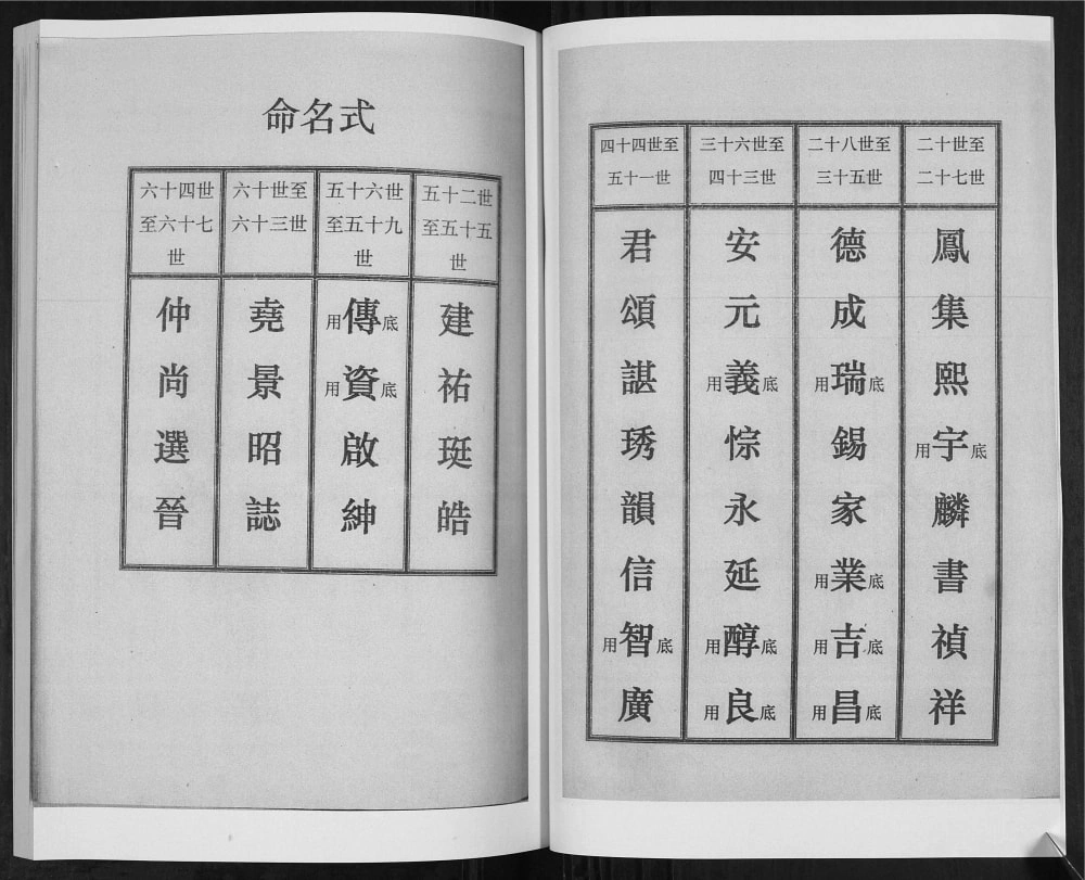 图片[3]-山东青岛即墨王氏族谱（泽远堂）电子版PDF下载-中华家谱网