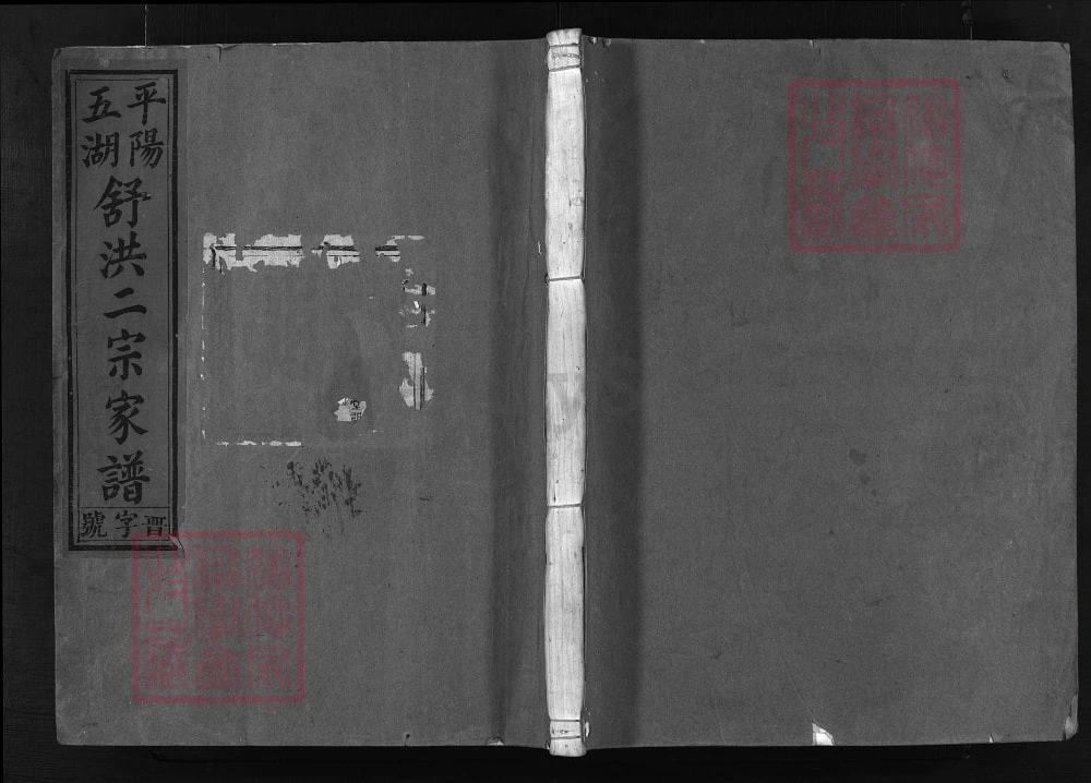 图片[1]-浙江兰溪平阳五湖舒洪二宗家谱电子版PDF下载-中华家谱网