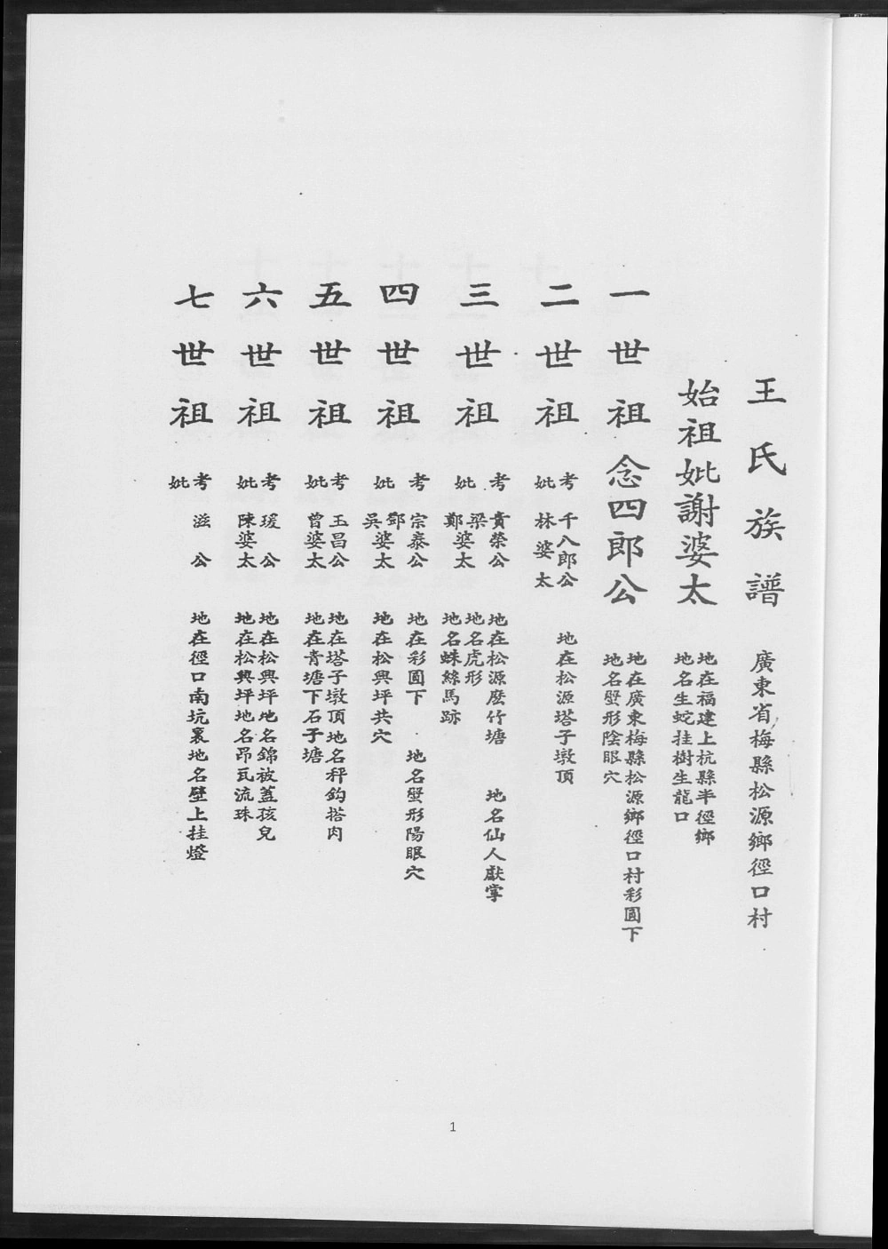 图片[2]-台湾花莲王氏族谱简录电子版PDF下载-中华家谱网