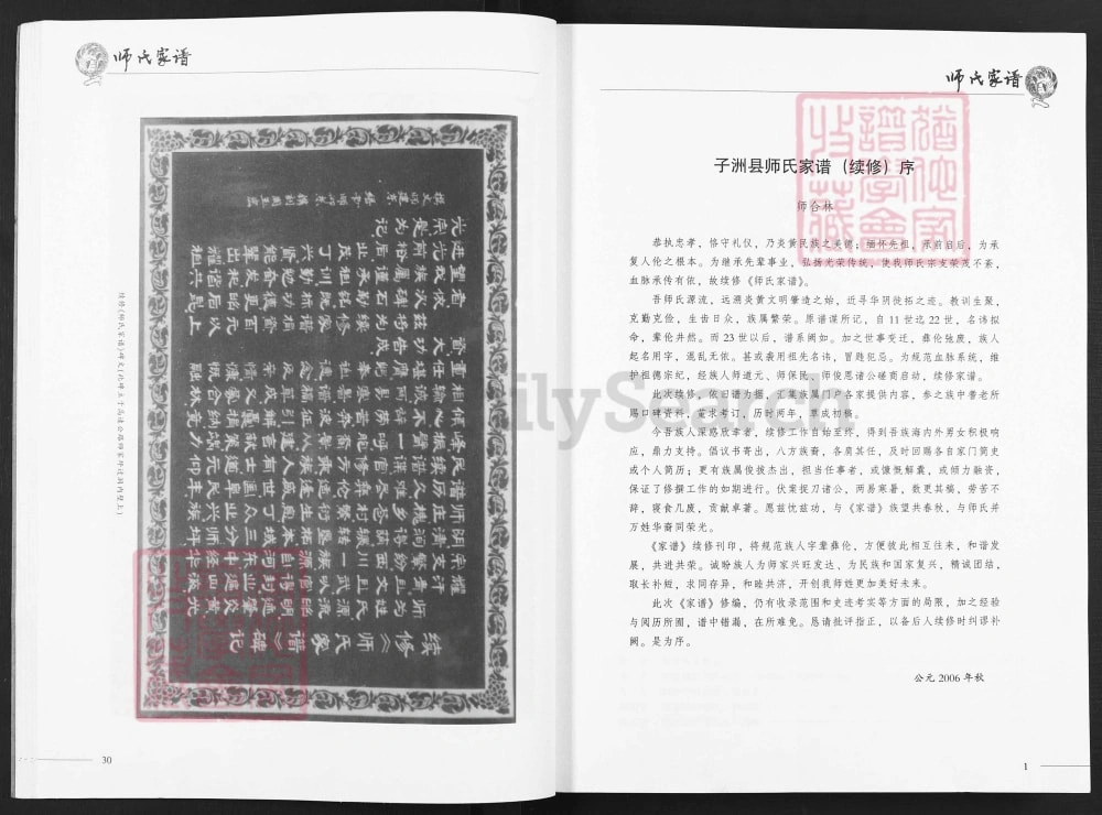 图片[3]-陕西榆林子洲县师氏家谱电子版PDF下载-中华家谱网