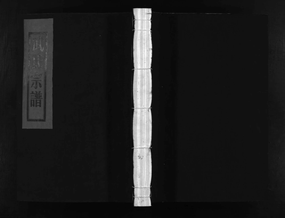 图片[1]-浙江温州平阳县长山武氏宗谱电子版PDF下载-中华家谱网