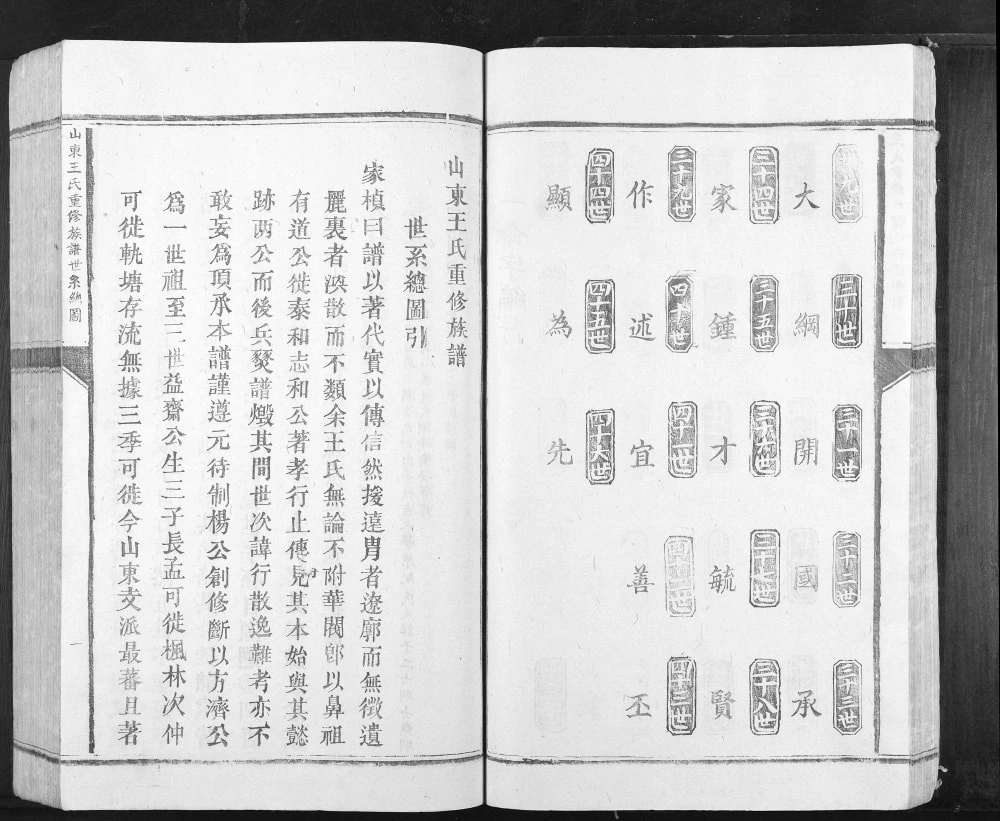 图片[3]-江西吉安泰和县东山王氏族谱电子版PDF下载-中华家谱网