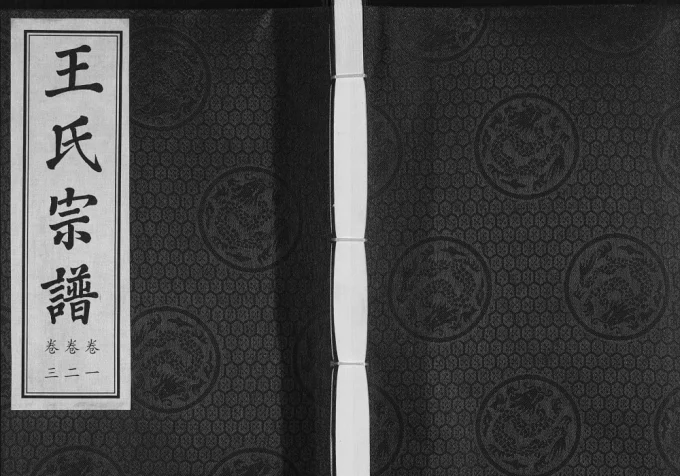 江苏常州武进圩塘王氏宗谱（三槐堂）电子版PDF下载-中华家谱网