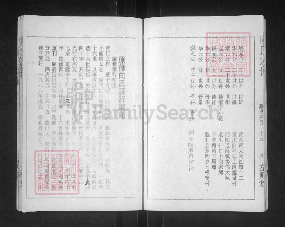 图片[4]-湖北仙桃向氏宗谱（左师堂）电子版PDF下载-中华家谱网