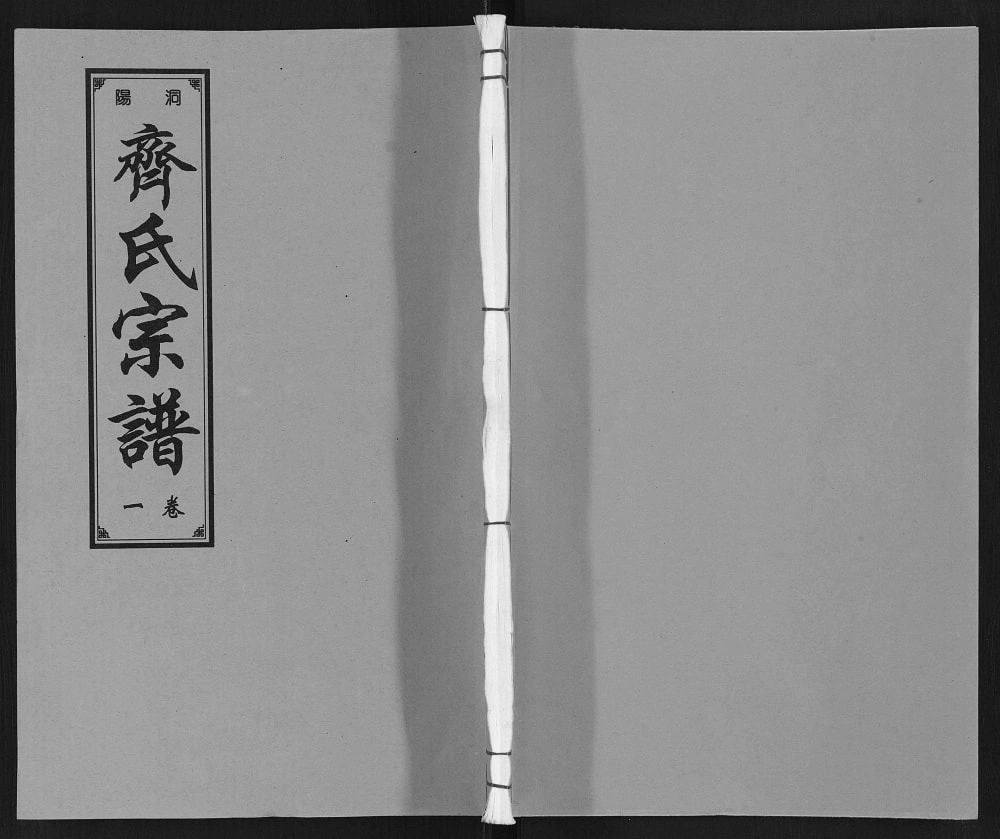 图片[1]-安徽马鞍山当涂县洞阳齐氏宗谱（锡履堂）电子版PDF下载-中华家谱网