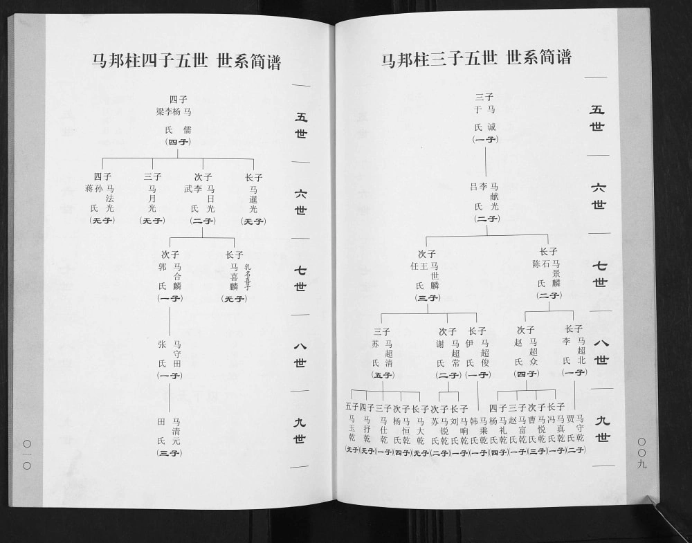 图片[8]-山西朔州山阴县马氏族谱电子版PDF下载-中华家谱网