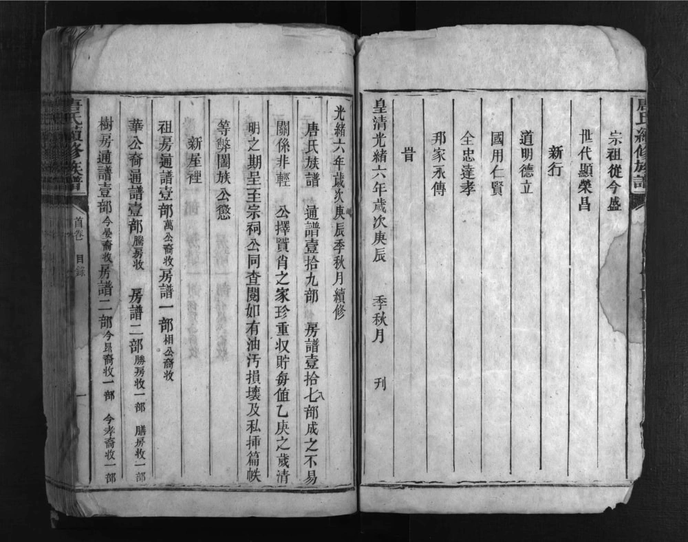 图片[3]-湖南郴州永兴唐氏家乘电子版PDF下载-中华家谱网