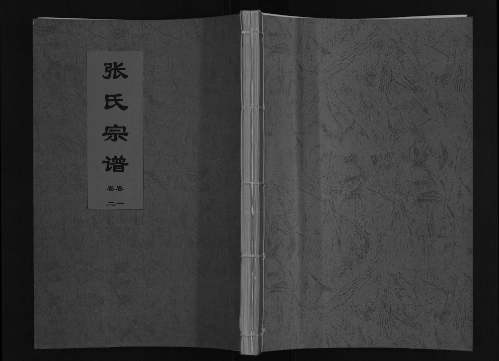 图片[1]-安徽淮南寿县张氏宗谱（敦笃堂）电子版PDF下载-中华家谱网