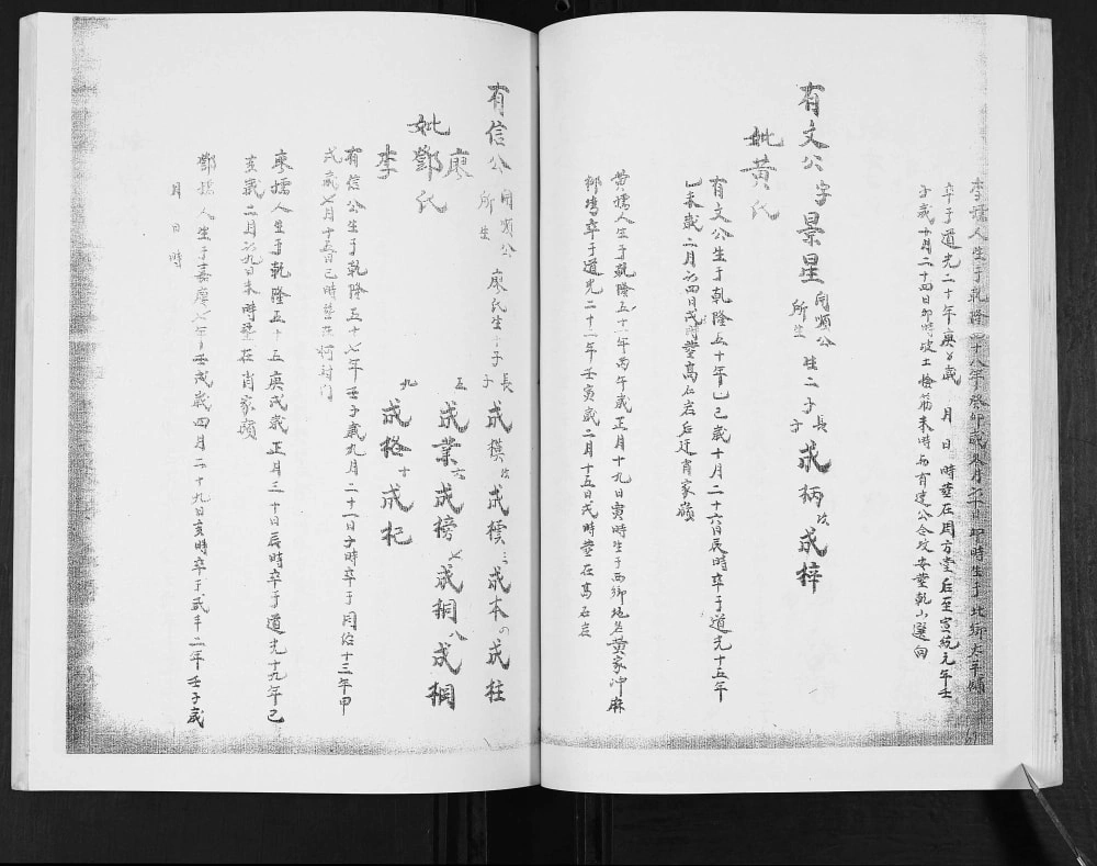 图片[7]-四川内江隆昌张氏族谱川派分支电子版PDF下载-中华家谱网