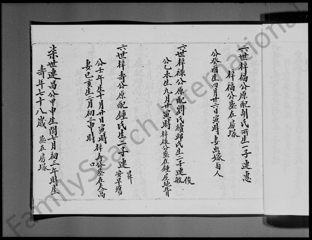 图片[6]-香港新界莲澳村李氏族谱（三福堂）电子版PDF下载-中华家谱网