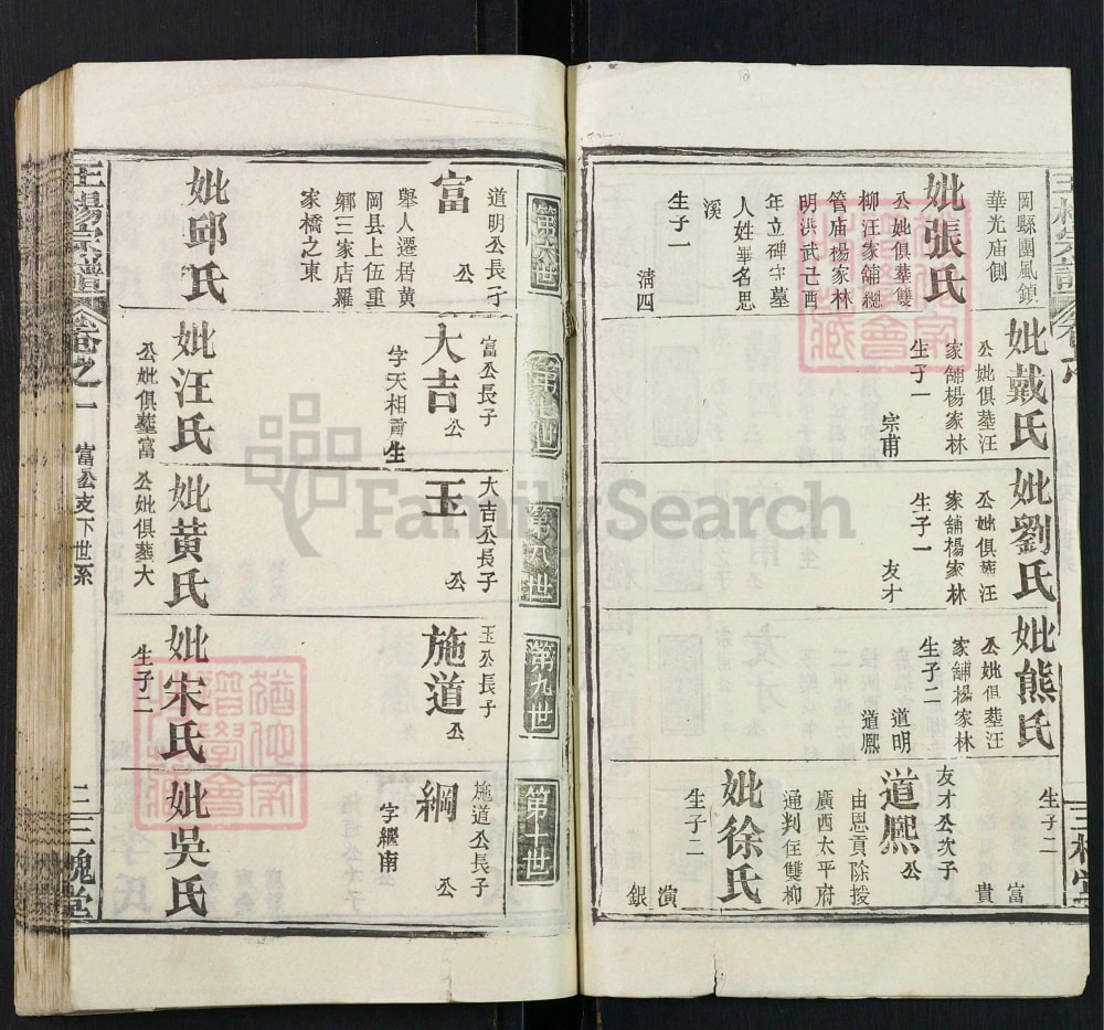 图片[6]-湖北黄冈王杨宗谱（三槐堂）电子版PDF下载-中华家谱网