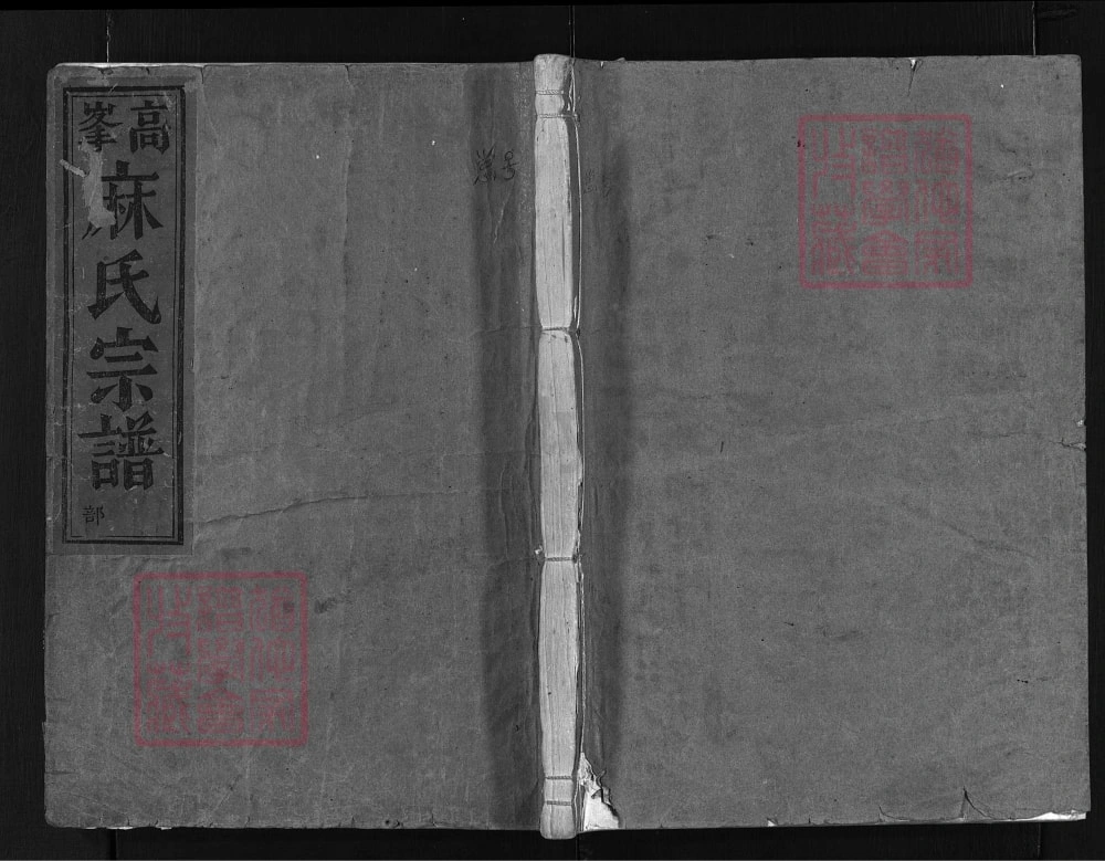 图片[1]-浙江兰溪高峰麻氏宗谱电子版PDF下载-中华家谱网