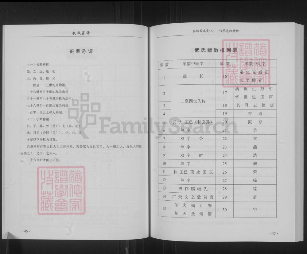图片[7]-山西古交村武氏家谱电子版PDF下载-中华家谱网