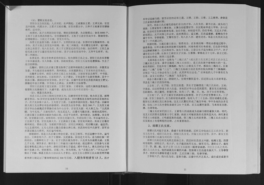 图片[5]-广西玉林福绵王氏族谱电子版PDF下载-中华家谱网