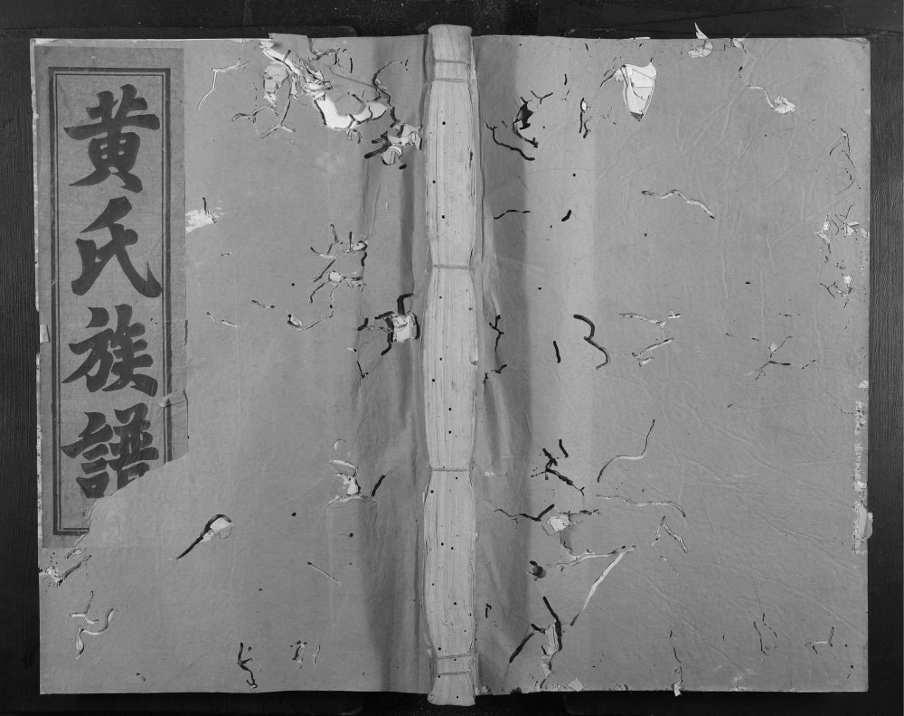 图片[1]-江西上饶玉山县黄氏五修族谱电子版PDF下载-中华家谱网