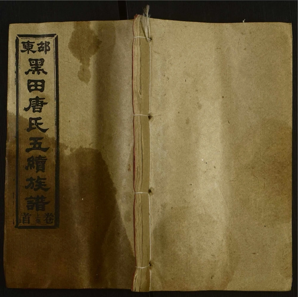 图片[1]-湖南邵东黑田唐氏五续族谱（敦睦堂）电子版PDF下载-中华家谱网