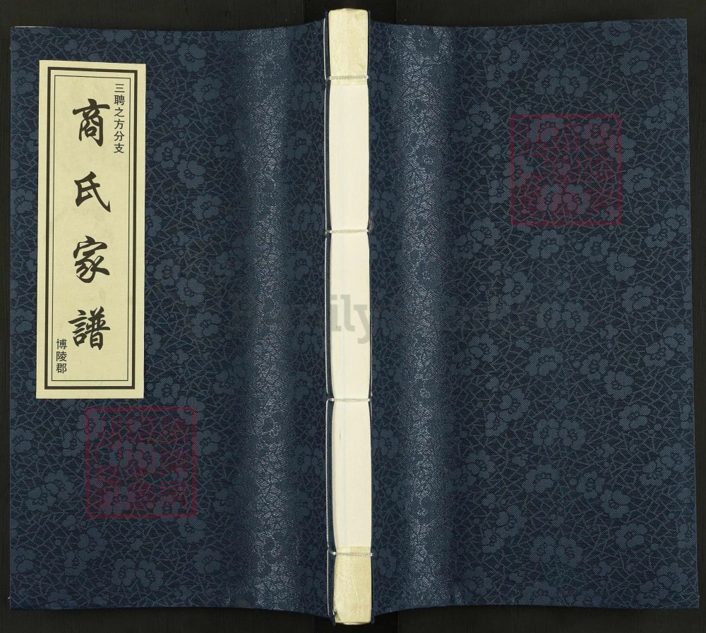 图片[1]-山东聊城茌平商氏家谱三聘之方分支电子版PDF下载-中华家谱网