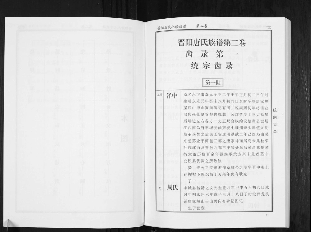 图片[6]-湖南株洲晋阳唐氏族谱电子版PDF下载-中华家谱网