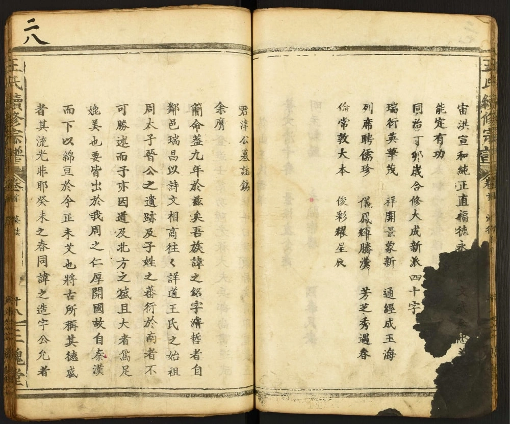 图片[2]-湖北黄石阳新县王氏续修宗谱（三槐堂）电子版PDF下载-中华家谱网