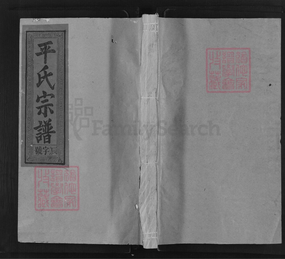 图片[1]-江西抚州南丰县平氏宗谱电子版PDF下载-中华家谱网