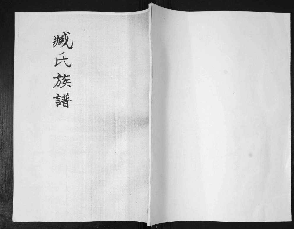 图片[1]-山东青岛即墨臧氏族谱电子版PDF下载-中华家谱网