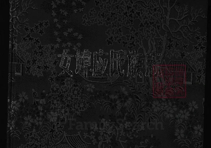 浙江兰溪女埠应氏族志-中华家谱网