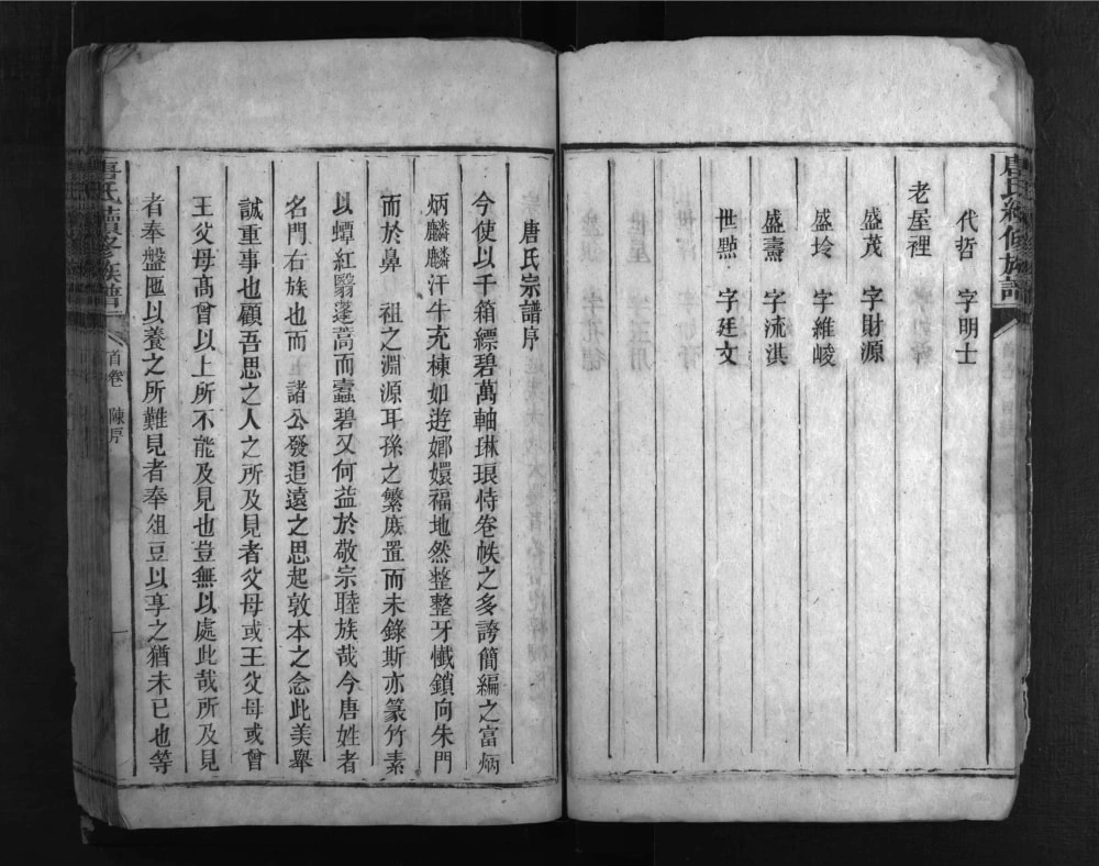 图片[5]-湖南郴州永兴唐氏家乘电子版PDF下载-中华家谱网