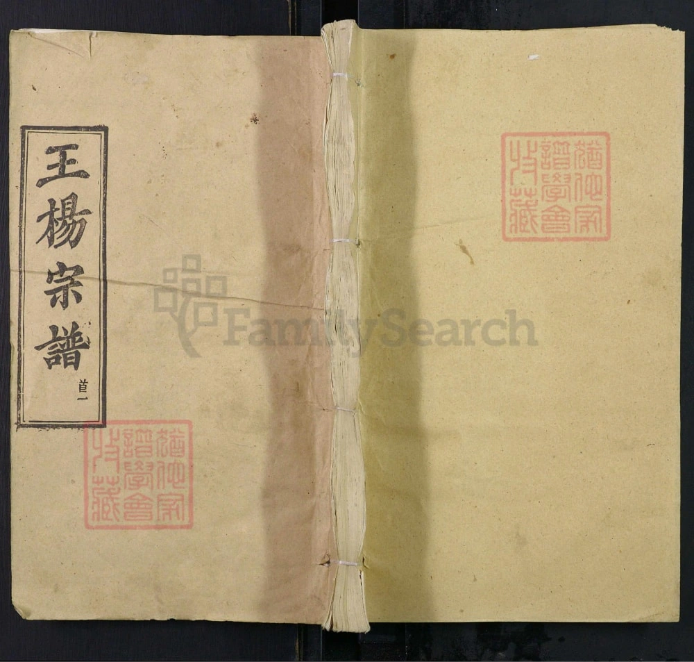 图片[1]-湖北黄冈王杨宗谱（三槐堂）电子版PDF下载-中华家谱网