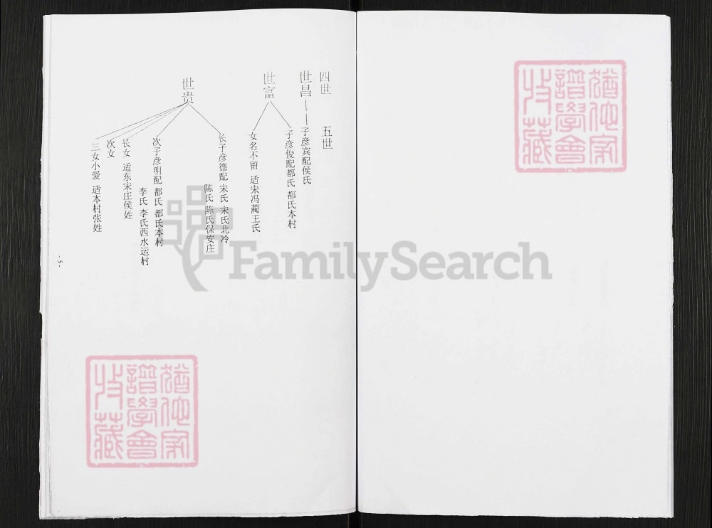 图片[6]-河南焦作温县宗氏族谱电子版PDF下载-中华家谱网