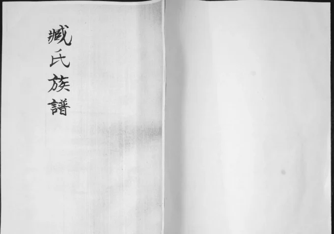 山东青岛即墨臧氏族谱-中华家谱网