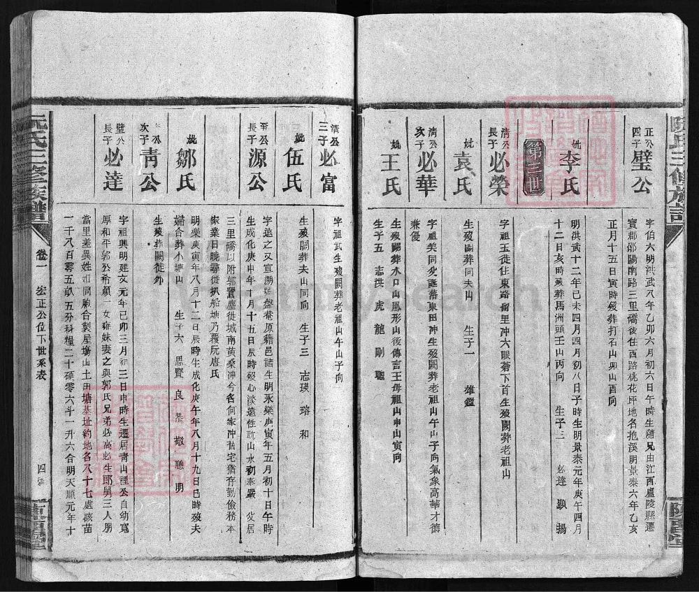 图片[8]-湖南邵阳阮氏三修族谱（陈留堂）电子版PDF下载-中华家谱网