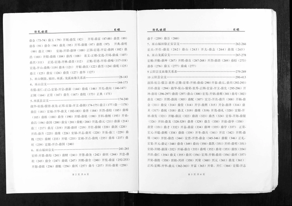 图片[3]-重庆巫山县徐氏族谱渝东(石首)支系电子版PDF下载-中华家谱网