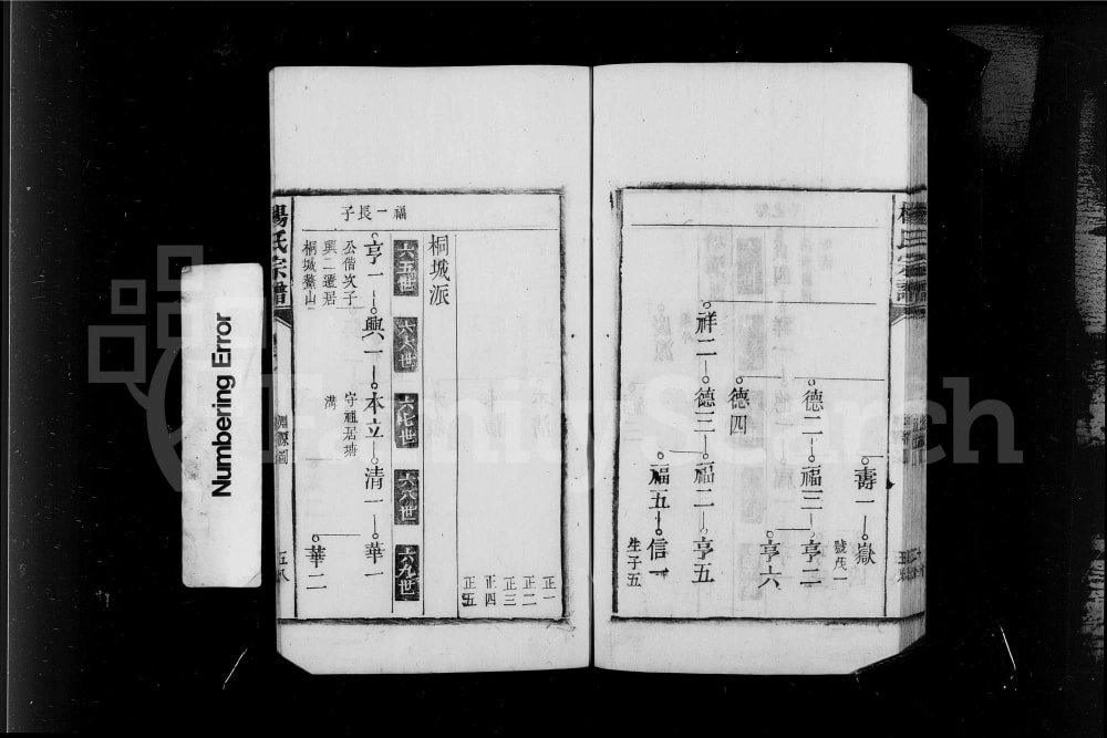 图片[4]-安徽桐城皖桐杨氏宗谱电子版PDF下载-中华家谱网