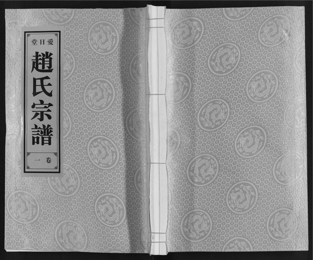 图片[1]-安徽合肥肥东县赵氏宗谱（爱日堂）电子版PDF下载-中华家谱网