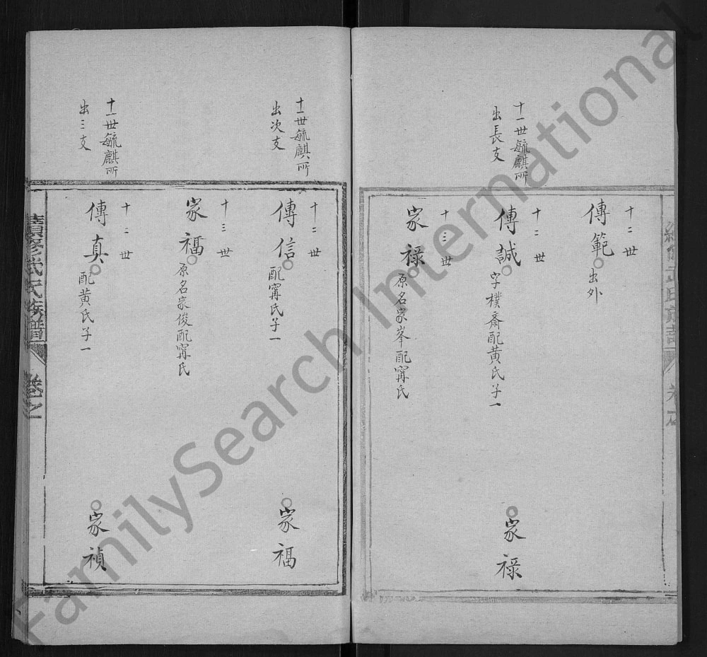 图片[5]-山东泰安续修武氏族谱电子版PDF下载-中华家谱网