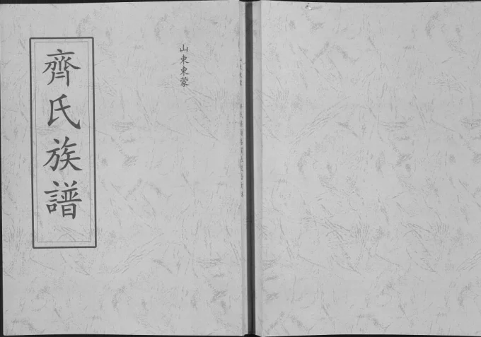 山东临沂蒙阴县齐氏族谱电子版PDF下载-中华家谱网