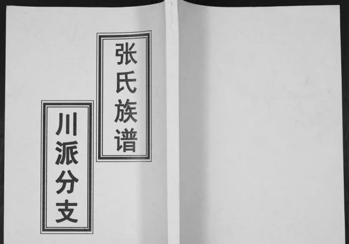 四川内江隆昌张氏族谱川派分支电子版PDF下载-中华家谱网